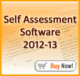 Andica Self Assessment  Software 2012-2013