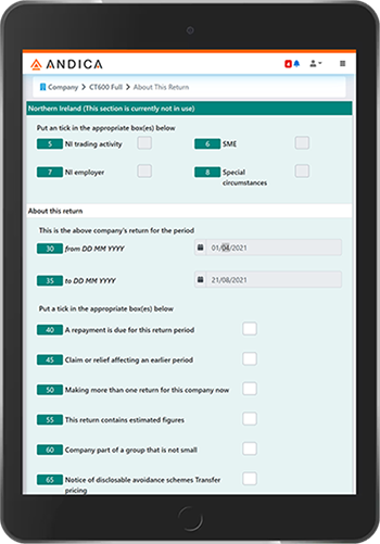 Company Tax Return