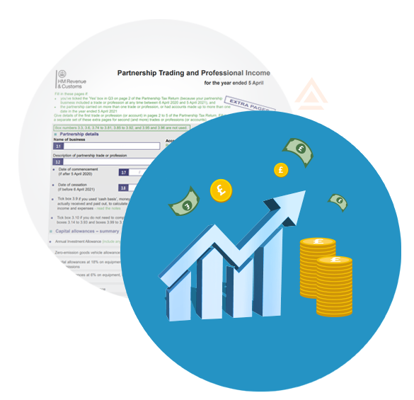 Partnership Trading and Professional Income